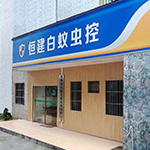 恒建白蟻
